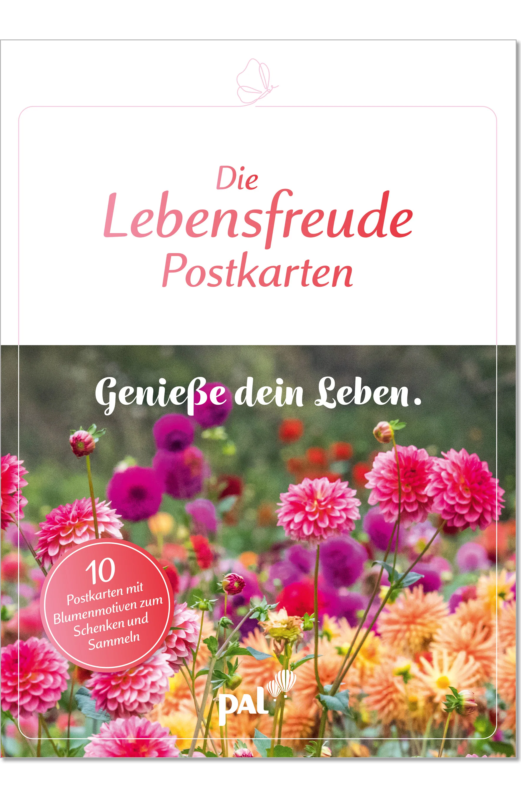 Vorschaubild 1